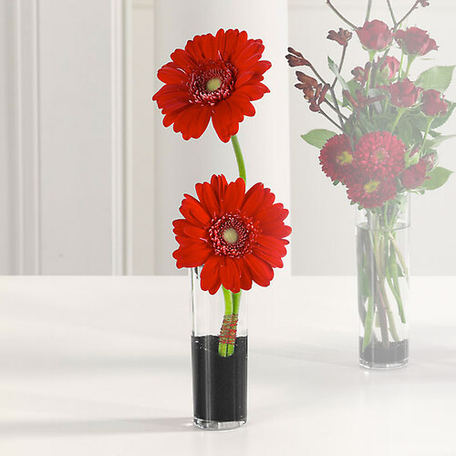 Gerberas in Bud Vase