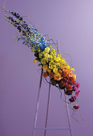 Rainbow Arrangement